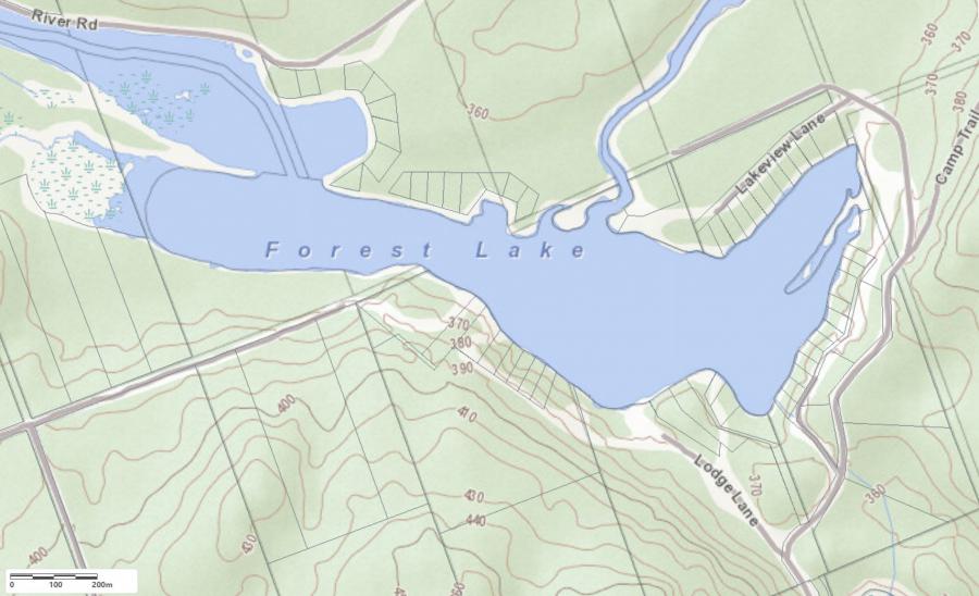 Topographical Map of Forest Lake in Municipality of Joly and the District of Parry Sound